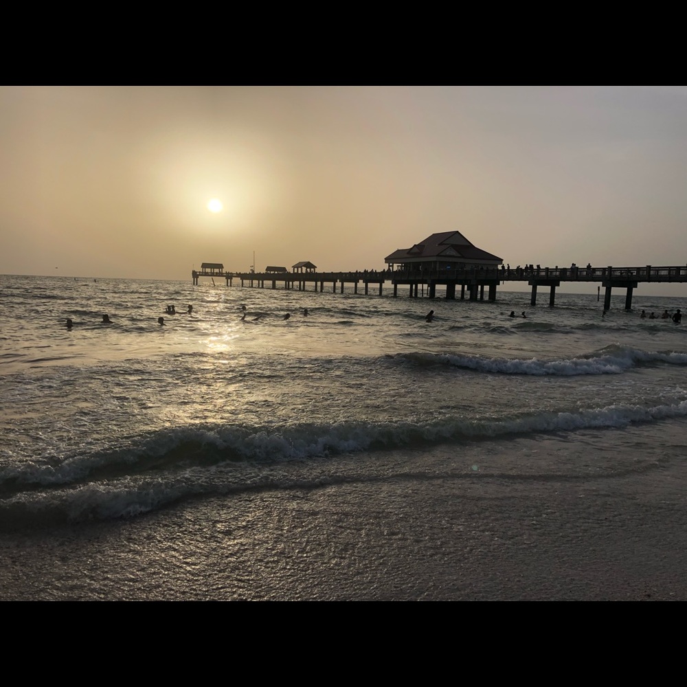 Meet your Posher, Gardenia